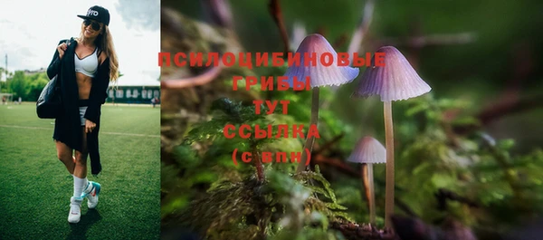 2c-b Абдулино