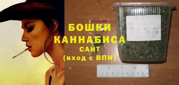 гидра Абаза
