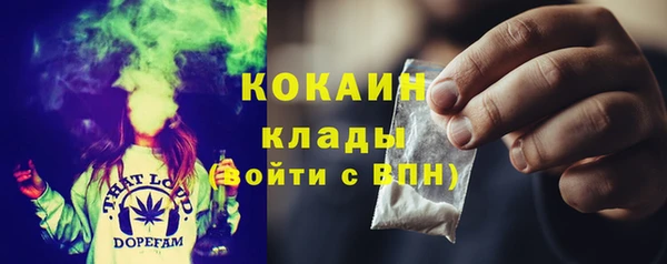 прущие грибы Беслан