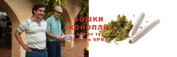 гидра Абаза
