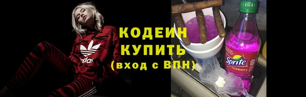 мдпв Пересвет