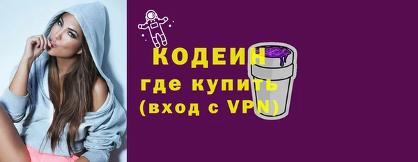 шишки Пестово