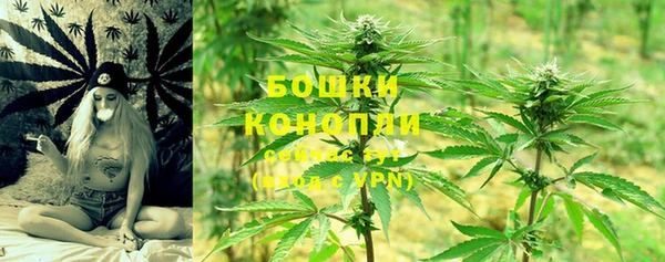 гидра Абаза