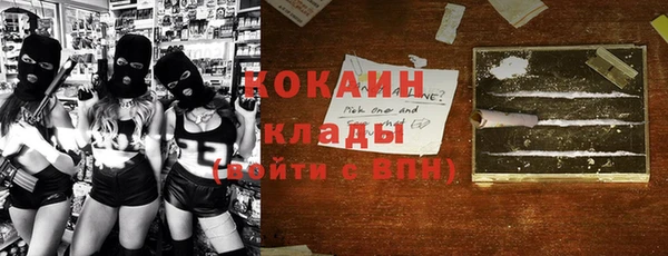 шишки Пестово