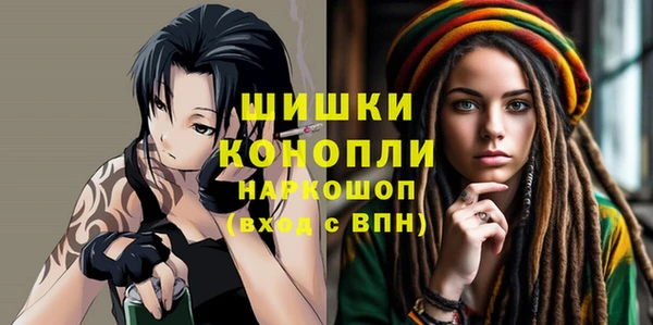 гидра Абаза
