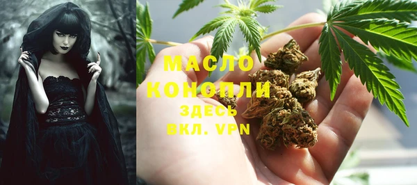 мдпв Пересвет