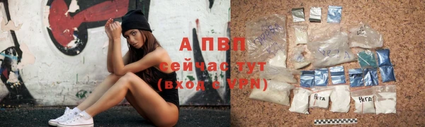 мдпв Пересвет