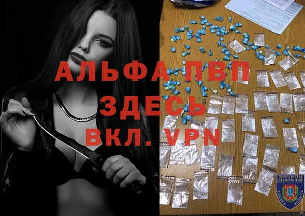 PSILOCYBIN Переславль-Залесский