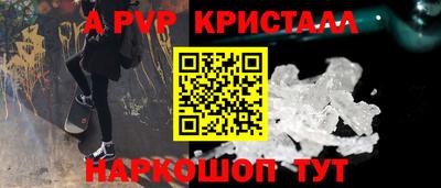 гидра Кингисепп