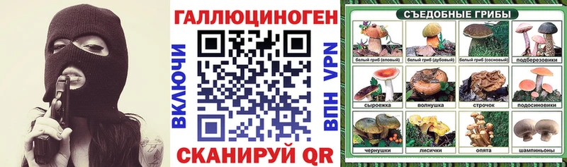 Галлюциногенные грибы GOLDEN TEACHER  магазин продажи   Луга 