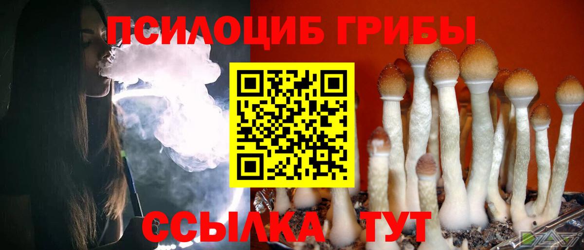 Галлюциногенные грибы Cubensis  Вход с VPN  Луга 