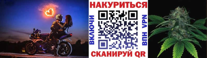 Каннабис OG Kush  Луга 