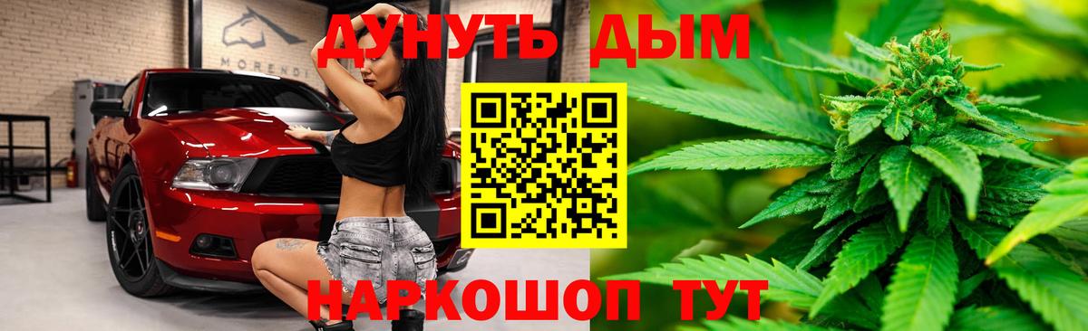 Конопля планчик Луга